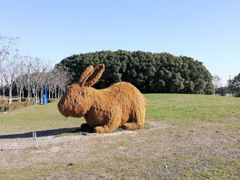 -嘉北郊野公园