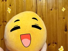 -樂桃源奉贤黄桃种植采摘基地