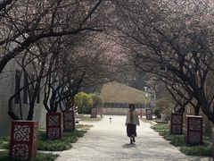 -国际非物质文化遗产博览园