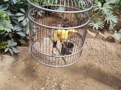 -南宫五洲植物乐园