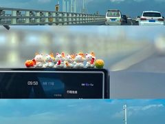 -青岛森林野生动物世界