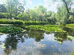 -承德避暑山庄景区