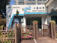 -小象托育