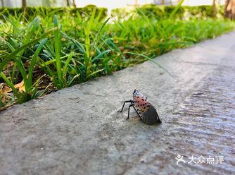 31-20摄氏度,吹着风温度还超级舒服
