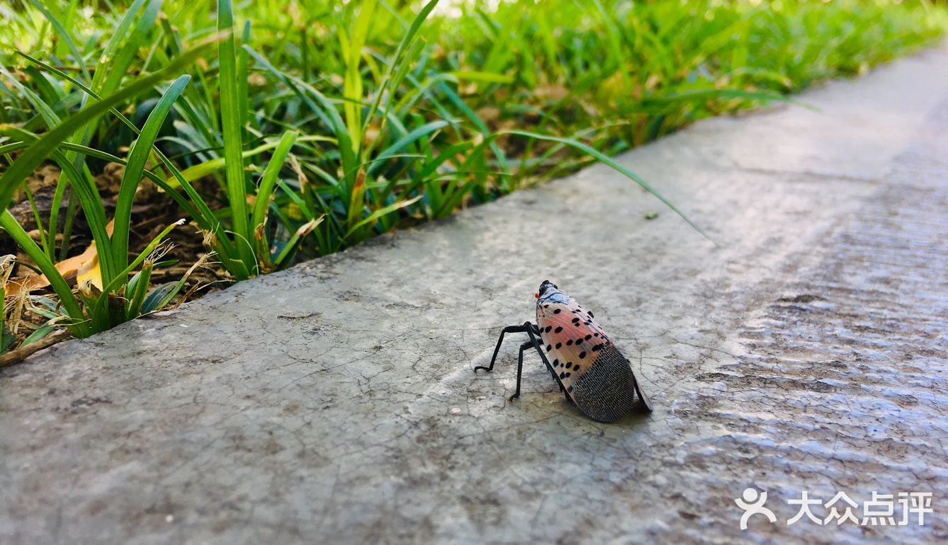 31-20摄氏度，吹着风温度还超级舒服