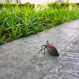 31-20摄氏度，吹着风温度还超级舒服