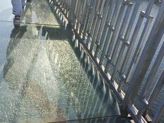-石燕湖生态旅游景区