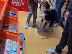 -MARSMART PETS火星宠物超市(1733店)
