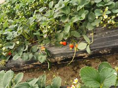 -南京市无想山景区