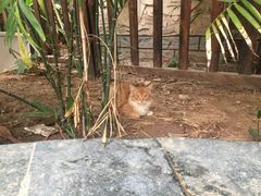 -龙达温泉生态城