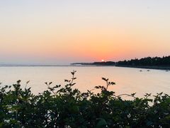 -贡湖湾湿地公园