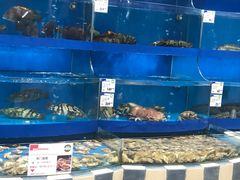 -果蔬好生活超市(乐堤港店)