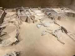 -洛阳周王城天子驾六博物馆