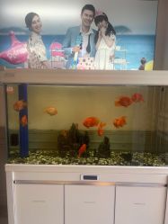 -非常六加一儿童摄影(同安店)