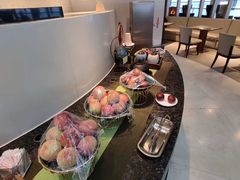 -虹桥机场国航贵宾室v8