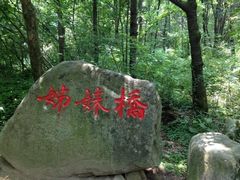 -洛阳白云山景区