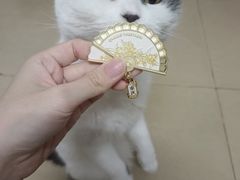 -霸王茶姬(正佳广场店)