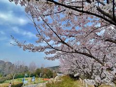 -浮山香苑