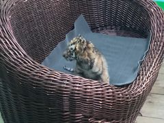 -常州淹城野生动物世界