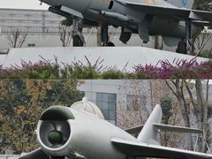 -成飞公园