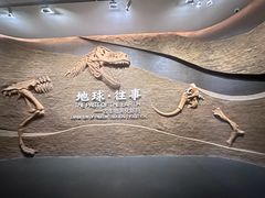 -柳州白莲洞洞穴科学博物馆