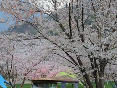 -高岚大峡谷旅游度假区