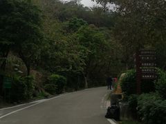 -清溪森林公园