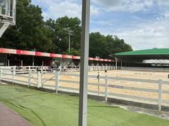 -名驭国际马术学院
