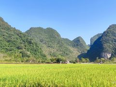 -靖西鹅泉风景区
