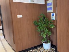 -天使口腔门诊部(上海店)