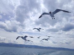 -青海湖国家重点风景名胜区