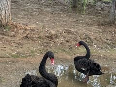 -蓝地时尚庄园(北京清河营地铁站店)