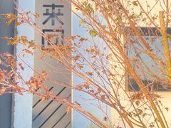 -来回·咖啡(钟村咖啡豆店)