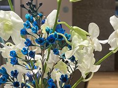 -蔚来中心(北京中关村店)