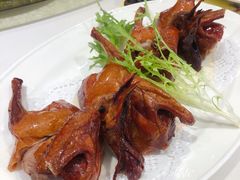 乳鸽-有心德(隆生店)