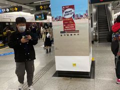 -东方体育中心(地铁站)