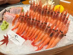 -月龍吟(朝龙汇店)