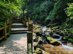 -本溪汤沟绿石谷森林公园