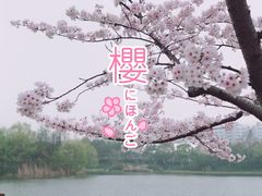 -新江湾城公园