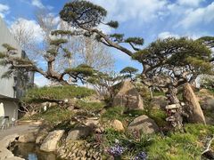 -罗红摄影艺术馆