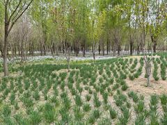 -东郊湿地公园