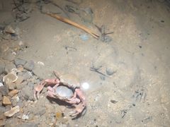 -连云港金陵海州湾会议中心