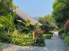 -腾冲洞山温泉村