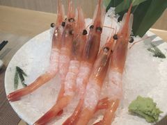 北极甜虾-酒井酱子·深夜食堂(东城汇店)