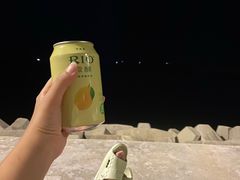 -龙泉人椰子鸡.糟粕醋.海南菜(三亚旗舰店)