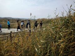 -水洞沟旅游区