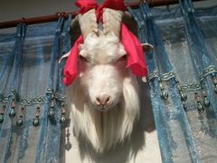 -草原塞蛮羊火锅城(港湾店)