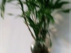 -东戴河风景区-止锚湾