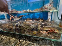 -仙螺岛海鲜自助餐厅(总店)