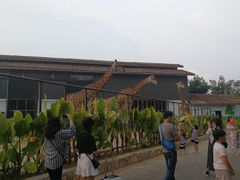 -灵玲国际马戏城